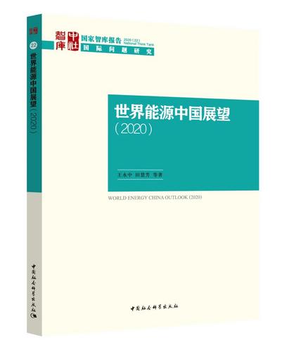世界能源中国展望(2020) 世界能源中国展望(2020)