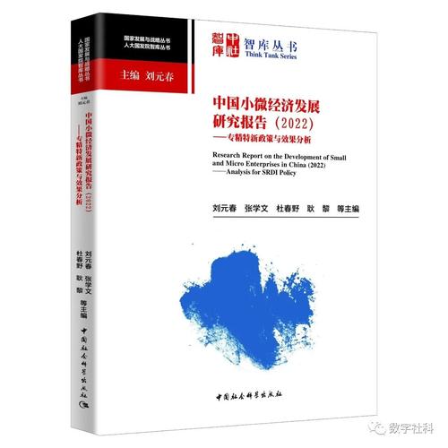 中国小微经济发展 中国小微经济发展