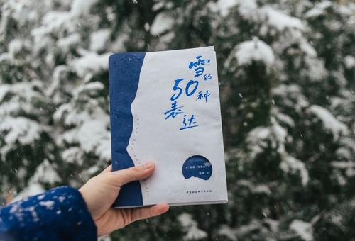 雪4 雪4